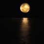 De maan full-moon-4781350_1920