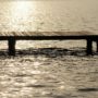 bridge-4797997_1920