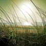 elaba-beach-1228794_1920